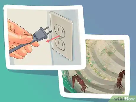 Image titled Clean a Fiddler Crab Tank Step 4