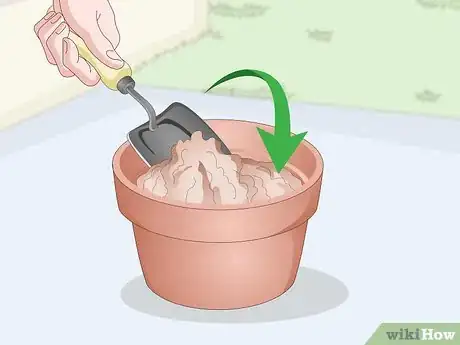 Image titled Plant Guanabana Seeds Step 12