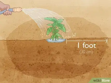 Image titled Grow Salvias Step 9