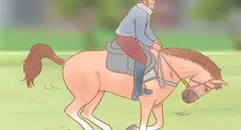 Choose a Riding Style or Equestrian Discipline