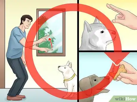 Image titled Train Teenager Stage Dogs Step 7