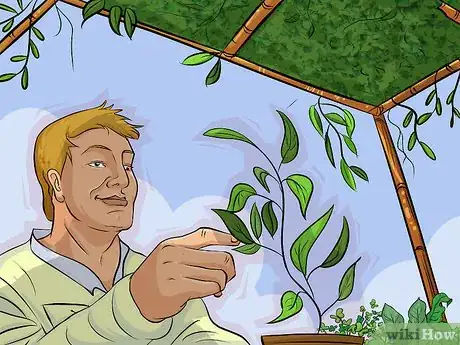 Image titled Choose Vegetables for a Shade Garden Step 10