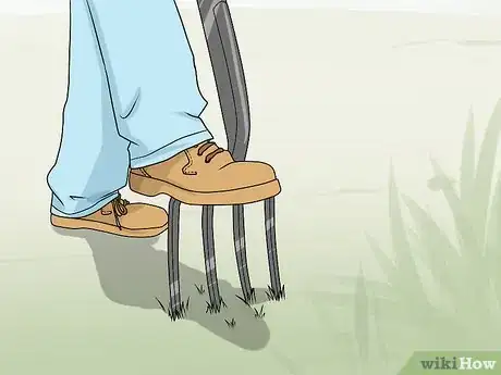 Image titled Prepare Your Yard for Summer Step 1