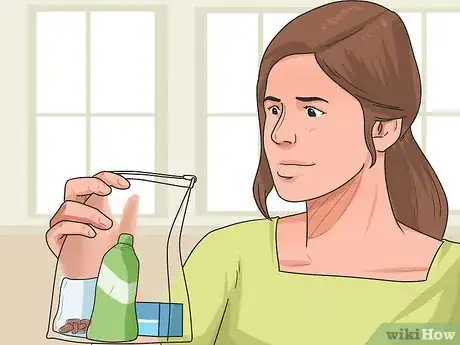 Image titled Travel With a Small Pet Step 8