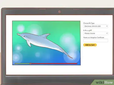 Image titled Adopt a Dolphin Step 3