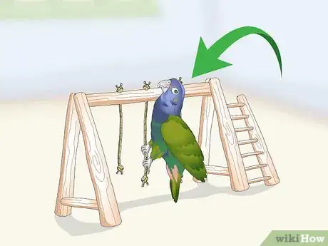 Image titled Bond with a Pionus Parrot Step 9