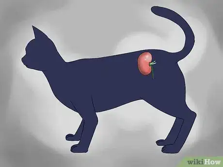 Image titled Treat Chronic Vomiting in Cats Step 9