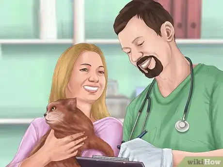 Image titled Pick a Healthy Adult Cat Step 14