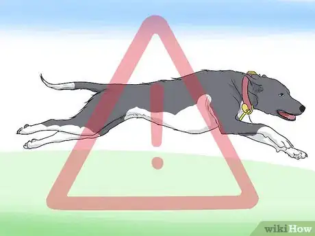 Image titled Treat Joint or Spinal Issues in Dogs with Prolotherapy Step 8