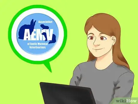 Image titled Choose a Vet for Your Ferret Step 4