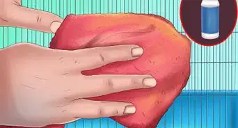 Treat Respiratory Problems in Gerbils