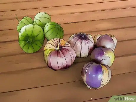 Image titled Grow Tomatillos Step 1