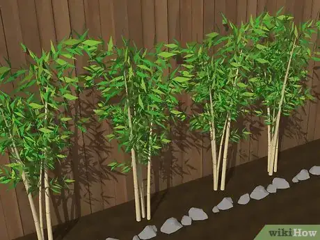 Image titled Design an Exotic Garden Step 8