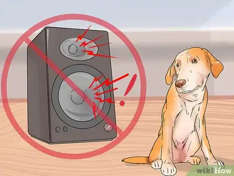 Image titled Bond with a Shy Dog Step 6