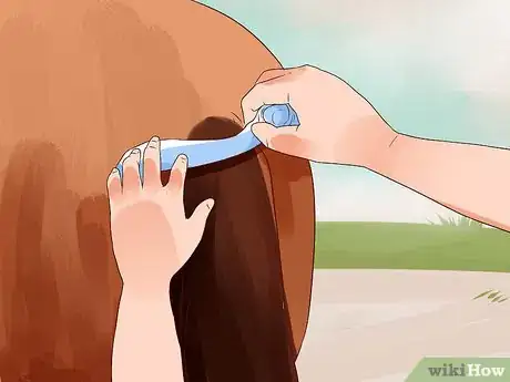 Image titled Apply a Horse Tail Bandage Step 4