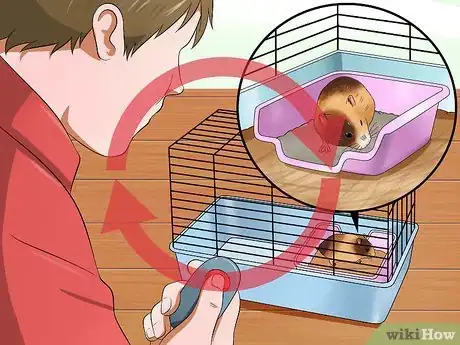 Image titled Toilet Train a Hamster Step 9