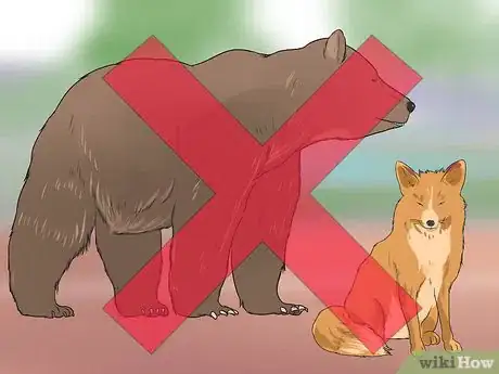 Image titled Prevent Canine Infectious Hepatitis Step 5