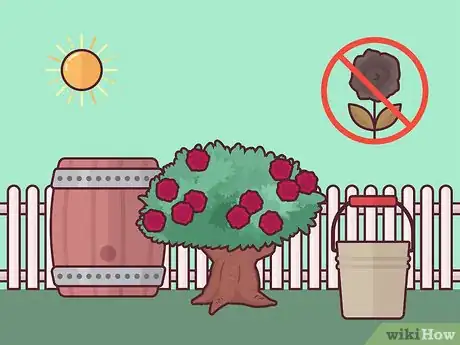 Image titled Save a Dying Rose Bush Step 4