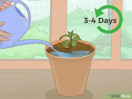 Image titled Plant Succulents Indoors Step 9