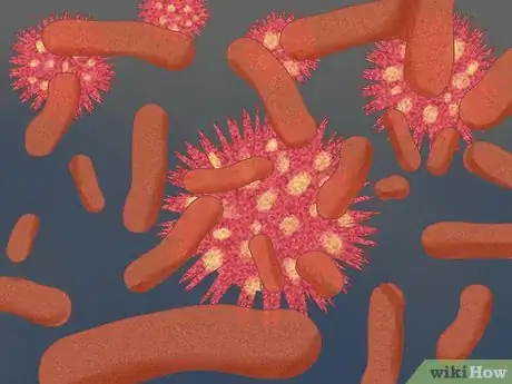 Image titled Understand the Differences Between Baby Formulas Step 5