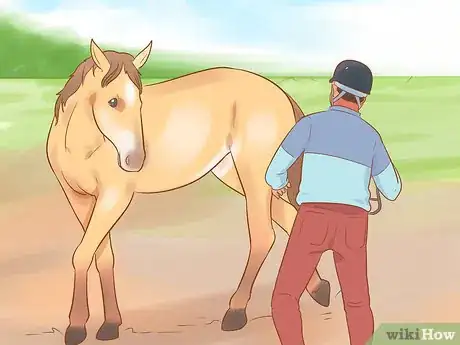 Image titled Pet a Wild Horse Step 5