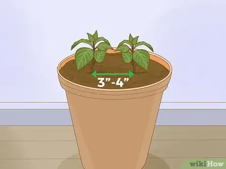 Image titled Plant Succulents Indoors Step 6