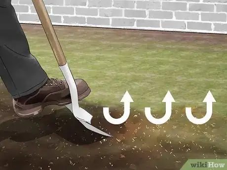 Image titled Get Rid of Ground Bees Step 2