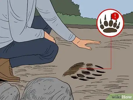 Image titled Avoid a Bear Attack Step 8