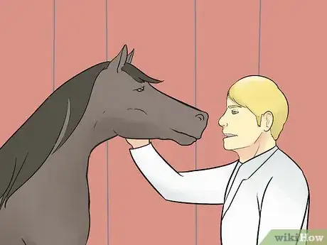 Image titled Choose a Vet for Your Horse Step 12