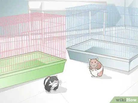 Image titled Select a Hamster Cage Step 2