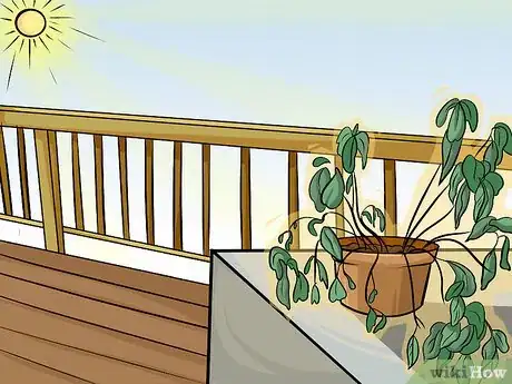 Image titled Choose Vegetables for a Shade Garden Step 12