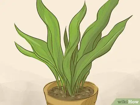 Image titled Choose Houseplants for the Bathroom Step 5