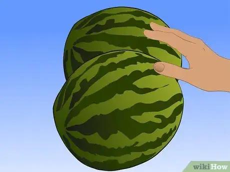 Image titled Save Watermelon Seeds for Planting Step 13