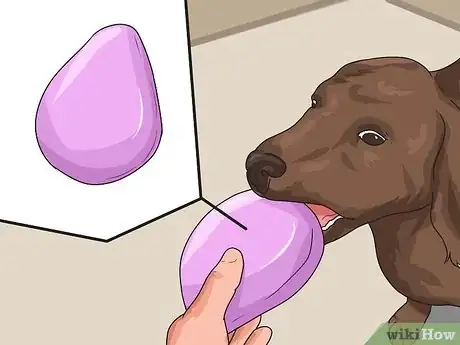 Image titled Keep Your Dog from Being Bored Step 13