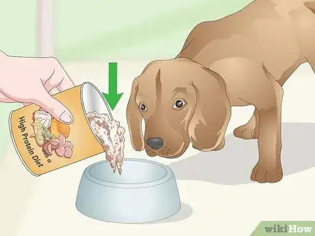 Image titled Pick the Best Dog Food Step 8