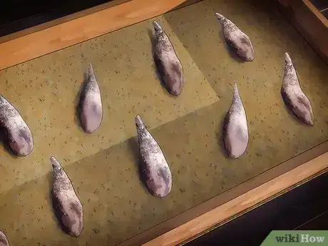 Image titled Overwinter Tropical Plants Step 15