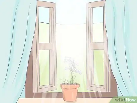 Image titled Care for Mini Orchids Step 16