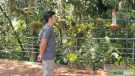 Image titled Photograph Hummingbirds Step 2