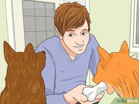 Image titled Prevent Jealousy in Current Pets when Getting a New Dog Step 3