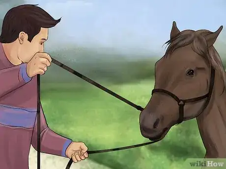 Image titled Make a Horse Move Forward Step 7