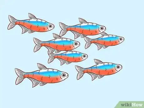 Image titled Find Compatible Tank Mates for Guppies Step 8