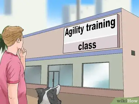 Image titled Bond with a Shy Dog Step 9