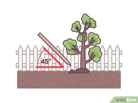 Image titled Stake an Apple Tree Step 2