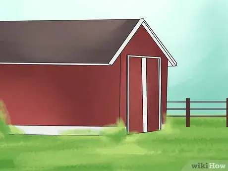 Image titled Care for an Arabian Horse Step 3