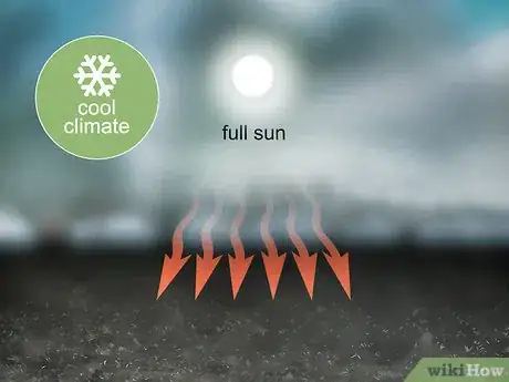 Image titled Grow Oca Step 4