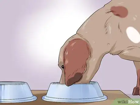 Image titled Dog Proof Your Office Space Step 13