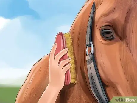Image titled Keep a Horse Clean on a Budget Step 12