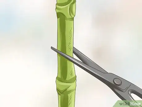 Image titled Rearrange a Store Bought Bouquet Step 12