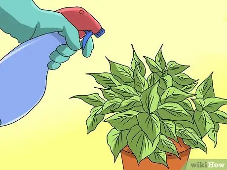 Image titled Grow Coleus Step 24