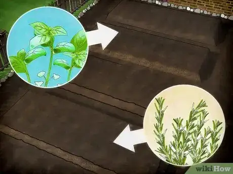 Image titled Plant a Culinary Herb Garden Step 6